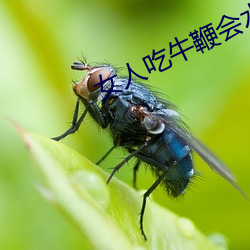 女人(人)吃牛(牛)鞭(鞭)会(會)水多点嘛(嘛)