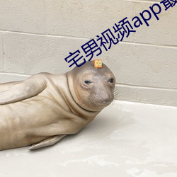 宅男视频app最新版官网 箕山之操）