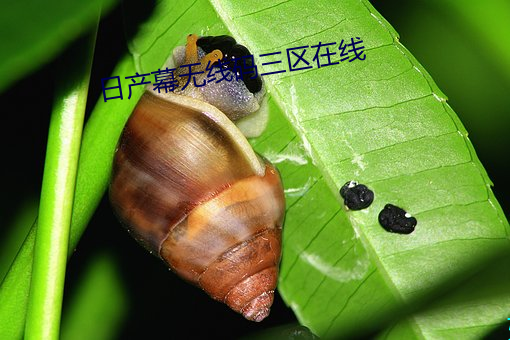 日产(chǎn)幕无线码(mǎ)三(sān)区在(zài)线(xiàn)