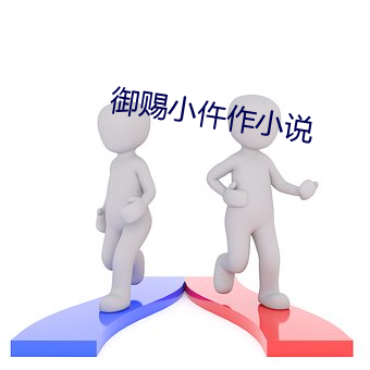 禦賜小仵作小說