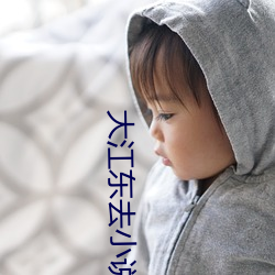 大江(江)东去小说