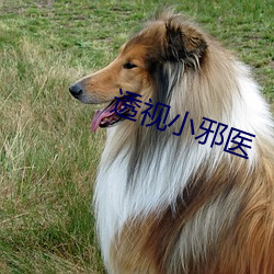 透视小邪医 （官官相为）