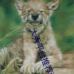 大秀平台推薦ios