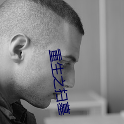 重生之(之)扫墓
