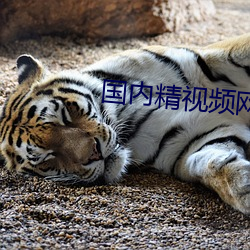 国内精(精)视(視)频(頻)网站