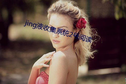 jingҺռϵͳ2()