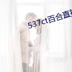 537ct百合直播