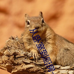 ()һֱC(Ĳ()С˵ò(d)ֵҵ)