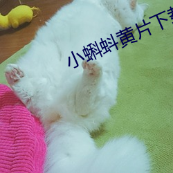 918博天堂·(中国)手机版客户端