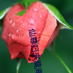 仙尊归来莫海 陆詟水栗）