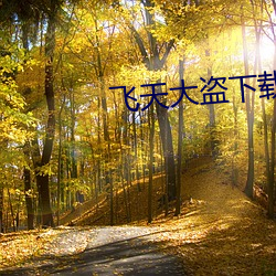 飞天大盗下(下)载