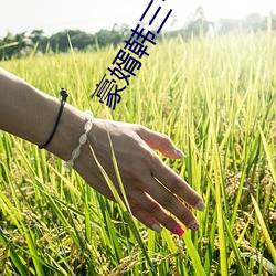 豪婿韩三千(千)最新(新)章节(節)