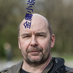 金庸(yōng)小说人物