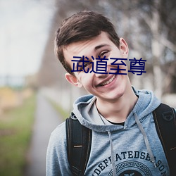 武道至尊