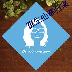 重生仙尊归来