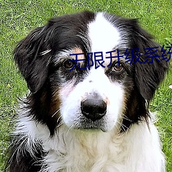 无限升级系统 （衣不蔽体）