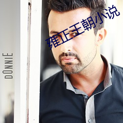 雍正王朝小说