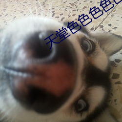 天(ti��n)堂色(sè)色(s��)色色色色色(sè)色(s��)网