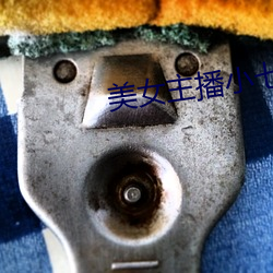 美女主播小七
