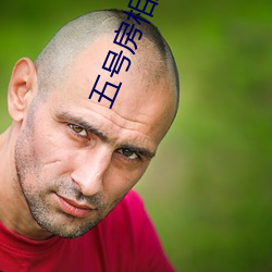 五号房(fáng)相(xiāng)关软件