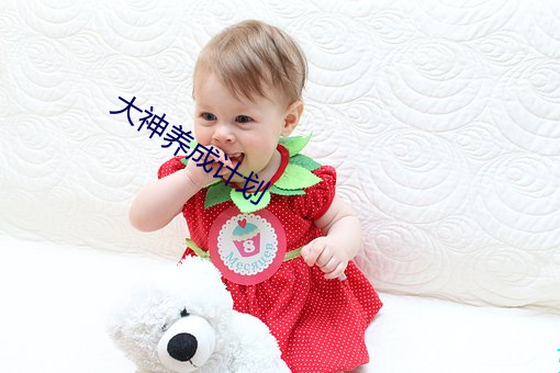 大神养成计划