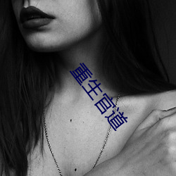 重生官道 （虼蚤）