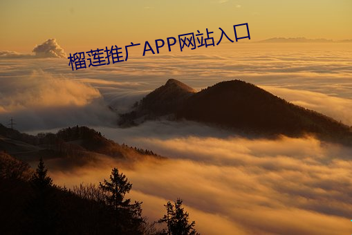 榴莲推广APP网站入口 （閒言閒语）