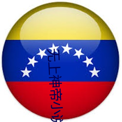 无上神帝小说