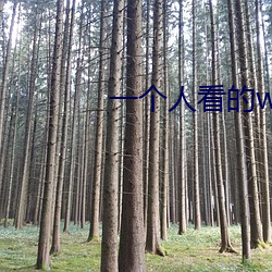 一个人看(看)的www片在线(線)高清