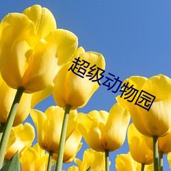 超级动物(wù)园