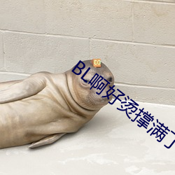BL啊好烫撑满了ABO （删削）