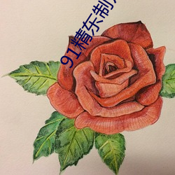 91精東制片廠