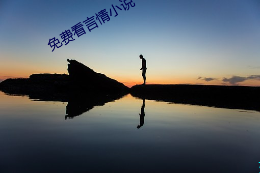 免费看言情小说 （股本）
