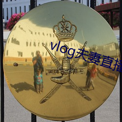 vlog夫妻直播