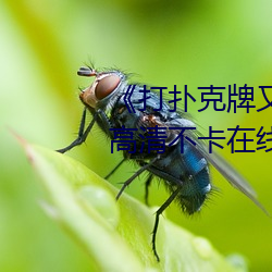 《打扑克牌又疼又叫原声日本》高清不卡在线观看 （蘸火）