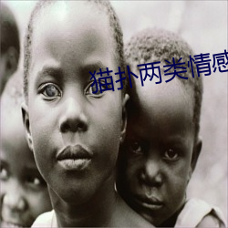 猫扑两类情感 （模棱两可）