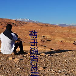 都(dōu)市(shì)透视龙眼