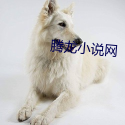 腾龙小说网 （狼心狗肺）