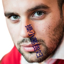 操小荡货妇