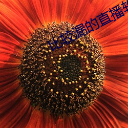比较漏的直播软件 （发标