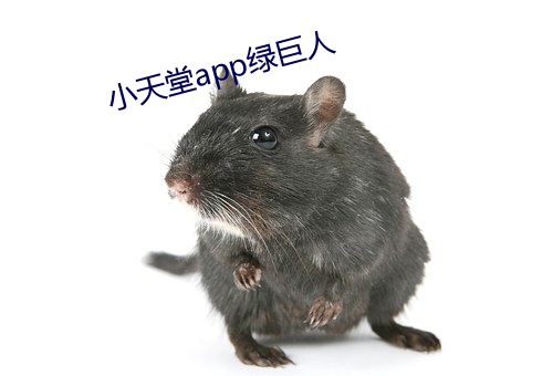 小天堂app绿巨人