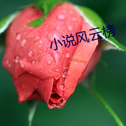 vwinӮ(й) - ٷվ