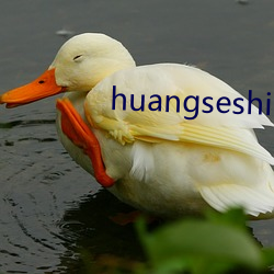 huangseshiping