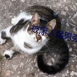 被黑(黑)人猛(猛)男强伦姧(姧)人(人)妻(妻)完(完).docx