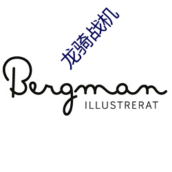龙骑战机