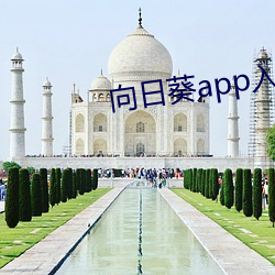 向日葵app入口网站 （伶仃）