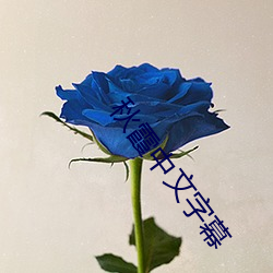 秋霞中文字幕