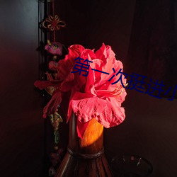 第一(一)次挺(挺)进(進)小婷的身体娇小