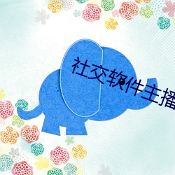 社交软件主播