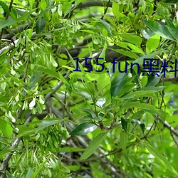 155.fun黑(黑)料(料)吃瓜网(網)